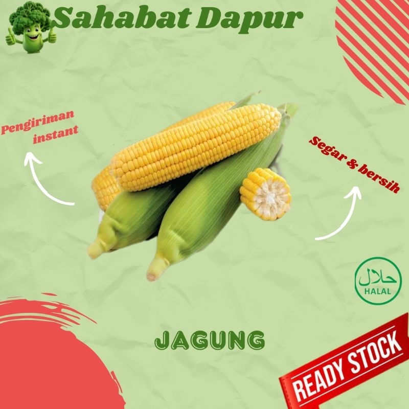 

Jagung - sayuran segar - Sahabat Dapur Delivery