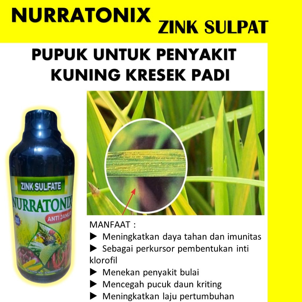 PALING LARIS ZINK NURRATONIX 500 ML Obat Semprot Hama Kuning Kerdil Daun Padi Terampuh - Terbaru Oba