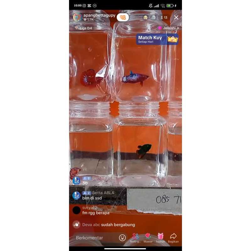 hmpk blue rum,, 2 psg hellboy