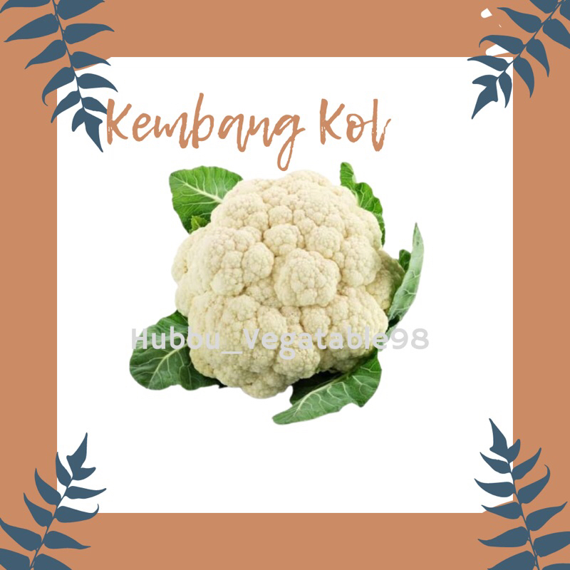 

Kembang Kol