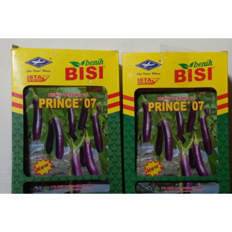 bibit terong ungu PRINCE 07