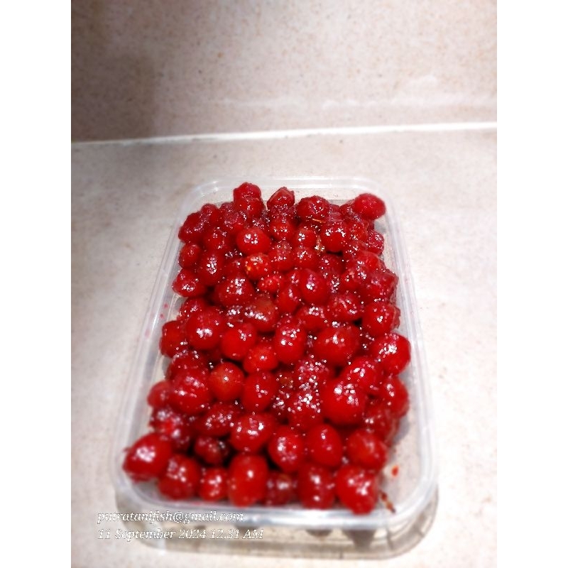

Manisan buah cermaj segar 500grm