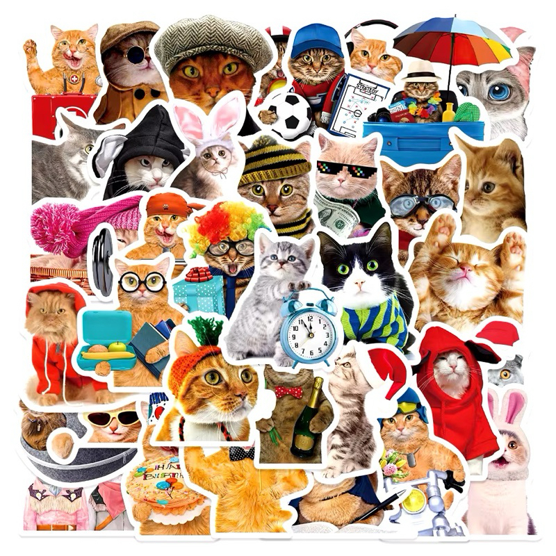 

50pcs Sticker Kucing Lucu Cat Meme Stiker PVC Laptop Koper HP Anti Air