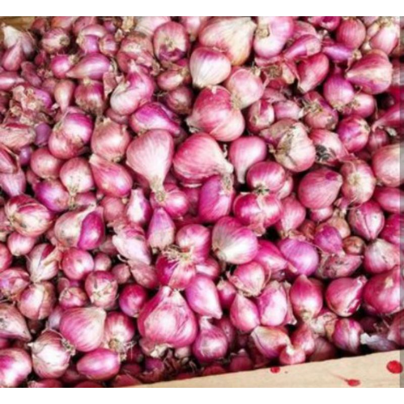 

bawang merah super