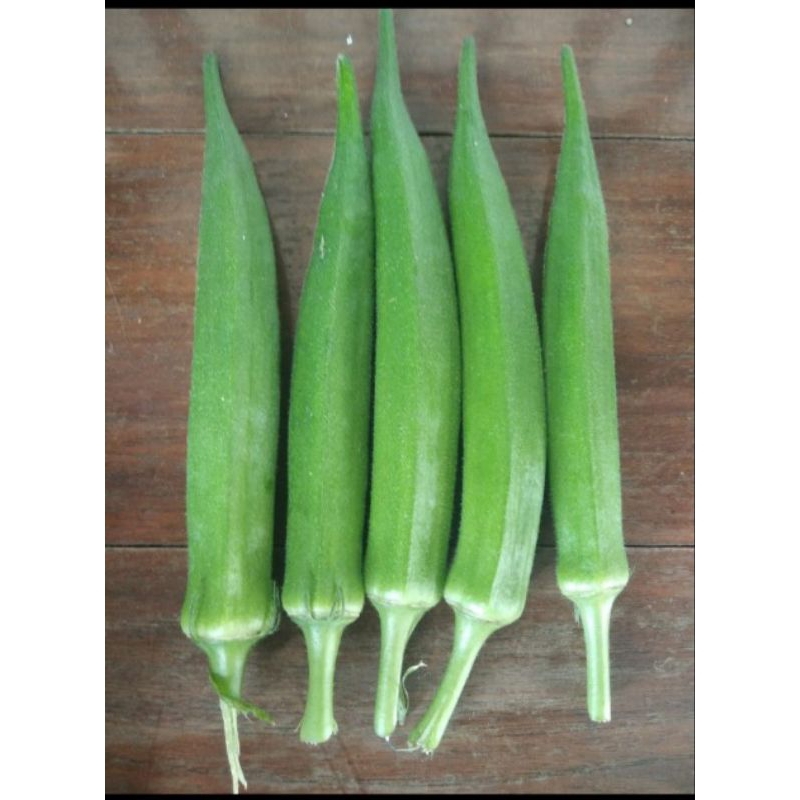 

sayuran okra
