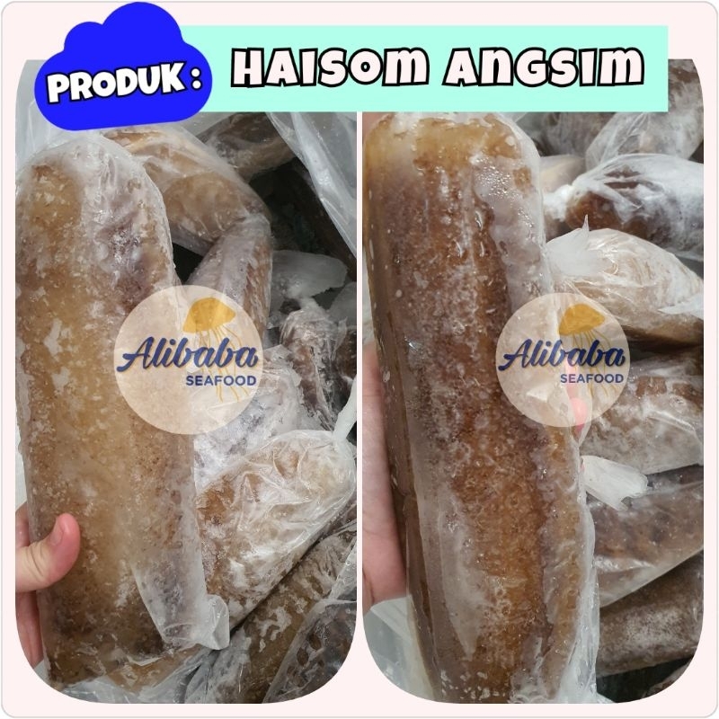 

Haisom Angsim / Teripang Frozen Besar 1kg