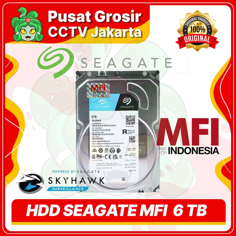 Harddisk HDD 6 8 10 TB TB Seagate 3,5" Skyhawk MFI