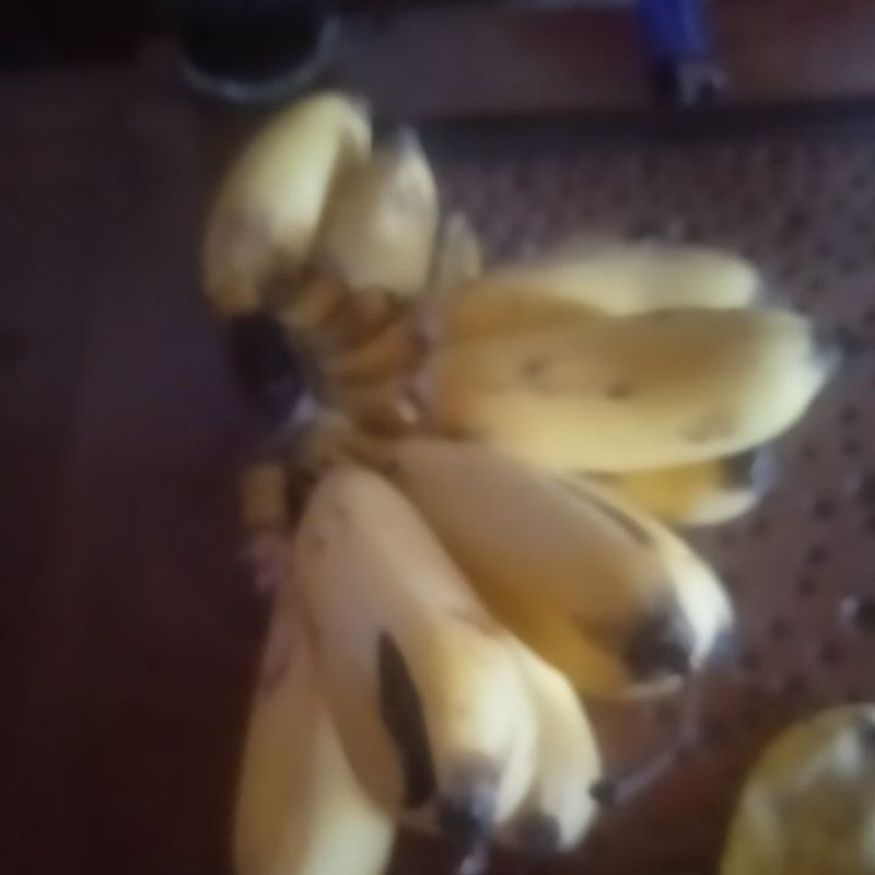 

pisang matang