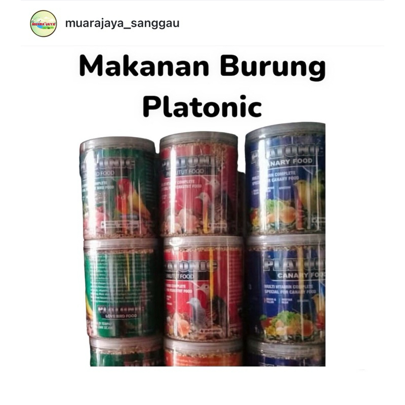 Makanan burung platonic / platonic lovebird / Pakan burung