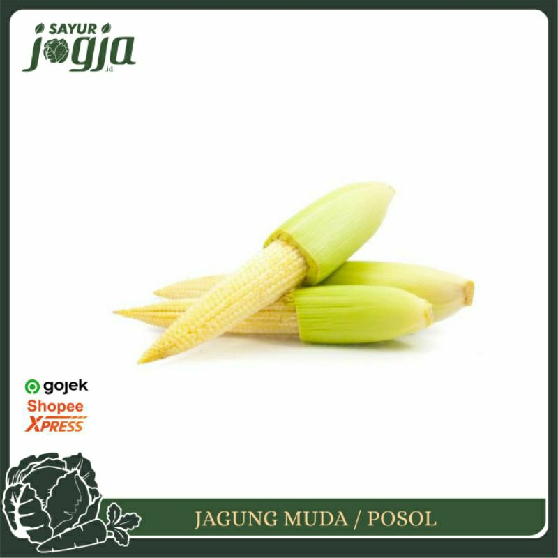 

Jagung Muda / Putren / Posol / Janggel ± 250g