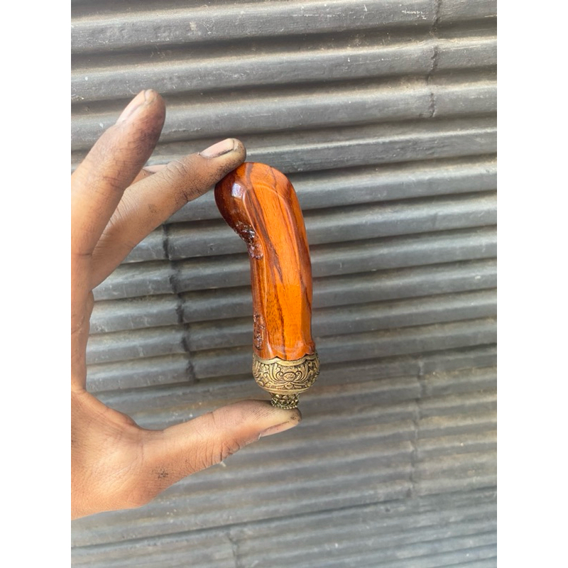 deder sono mendak selut jogjakarta