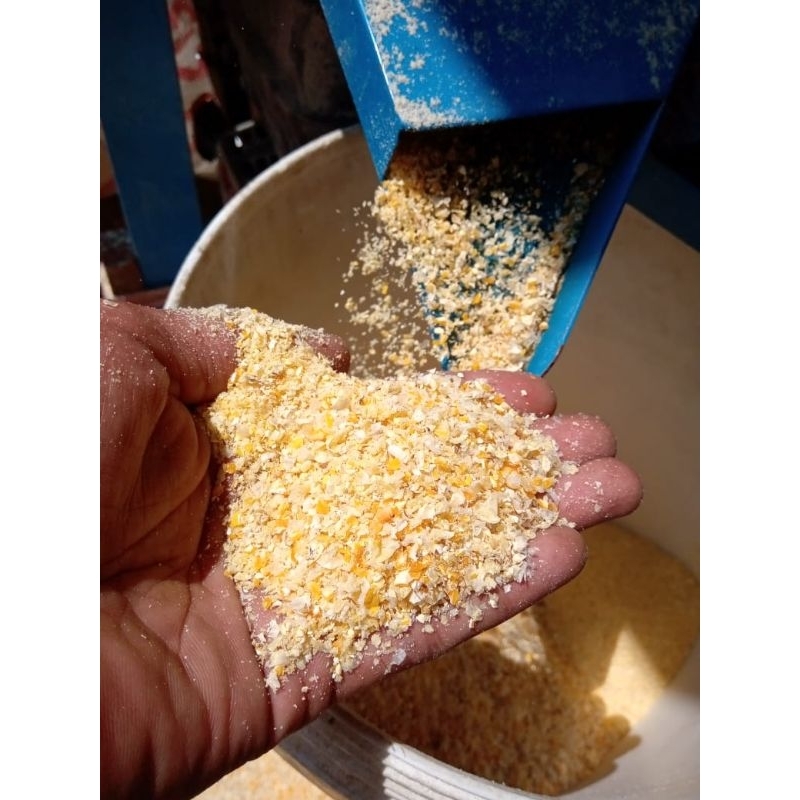 Menir Jagung
