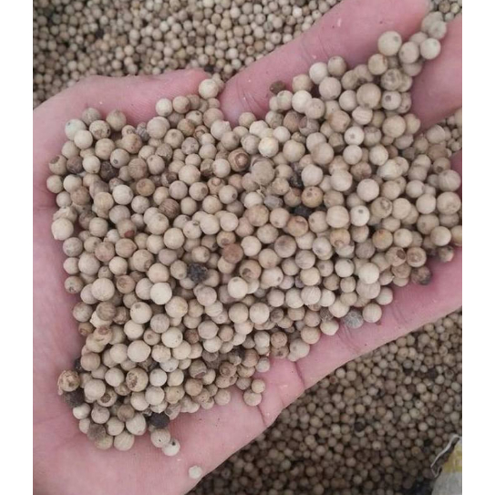 

Lada Putih Utuh / White Pepper Whole - 100gr