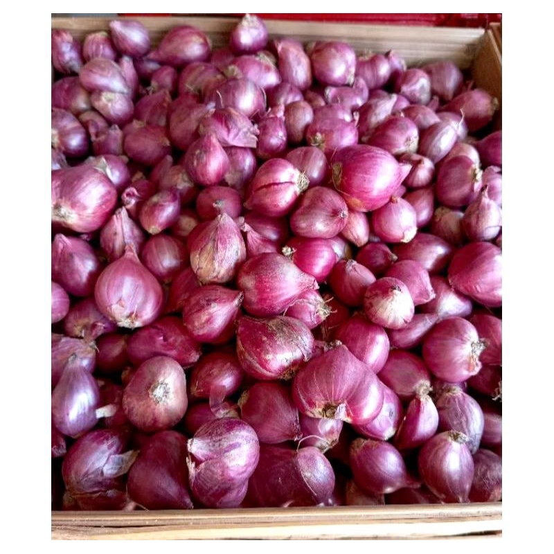 

[Instan] Bawang Merah 250gr/500gr/1Kg
