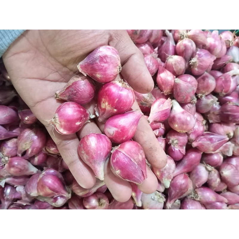 

BAWANGMERAHBREBES1KG
