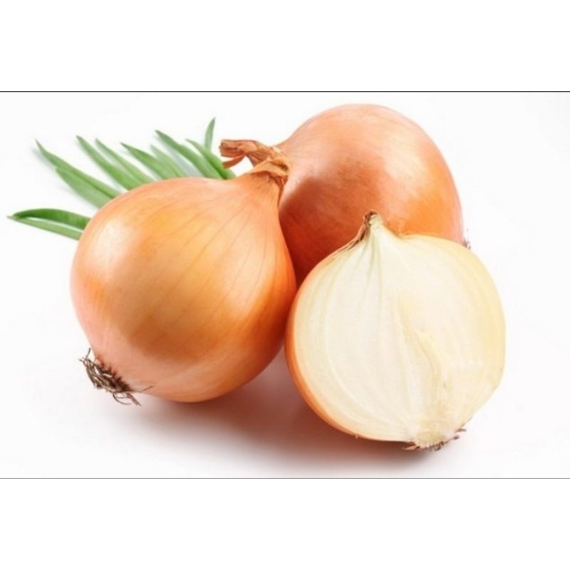 

Bawang Bombai