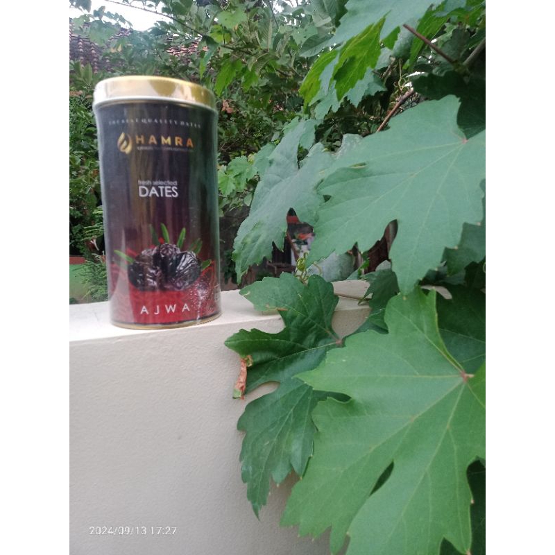 

Ajwa Hamra 330gr