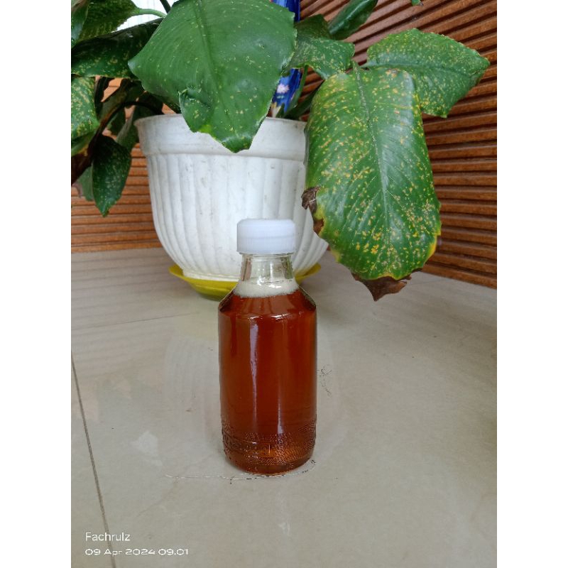 

MADU KLANCENG ASLI MURNI 100% KEMASAN 150ML