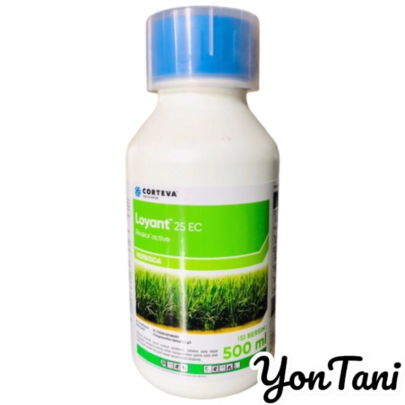 Loyant 500 ML
