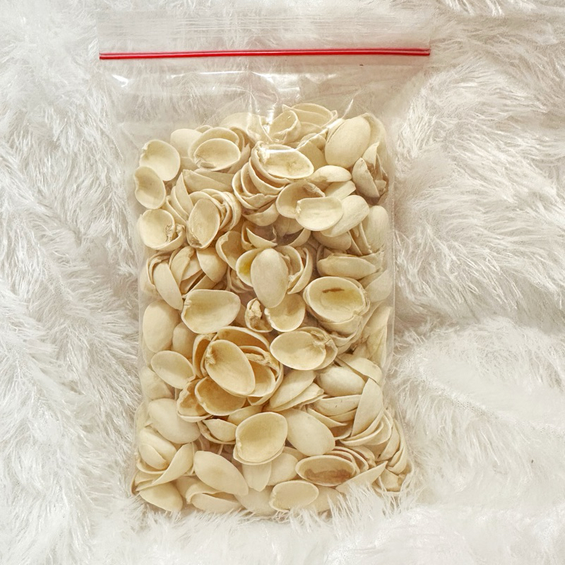

500gram Kulit Kacang Pistachio shells | Montessori Play Toddler Balita Baby Gym Bahan DIY Prakarya Kerajinan Tangan Kulit Kacang fustuk