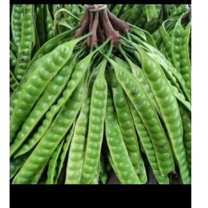 

Sayuran fresh Pete Jawa 10 Papan