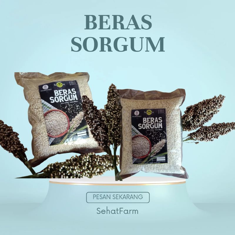 

Beras Sorgum Kualitas Super Kemasan 1kg Murah || Sorgum Sehat Farm