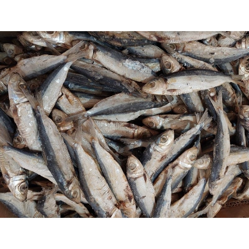 

Aneka Macam Asin Kualitas Super 10.000