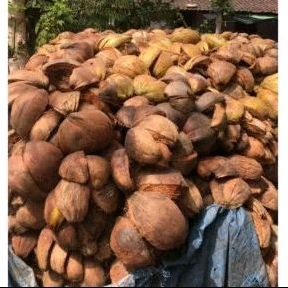 termurah sabut kelapa 1 kg