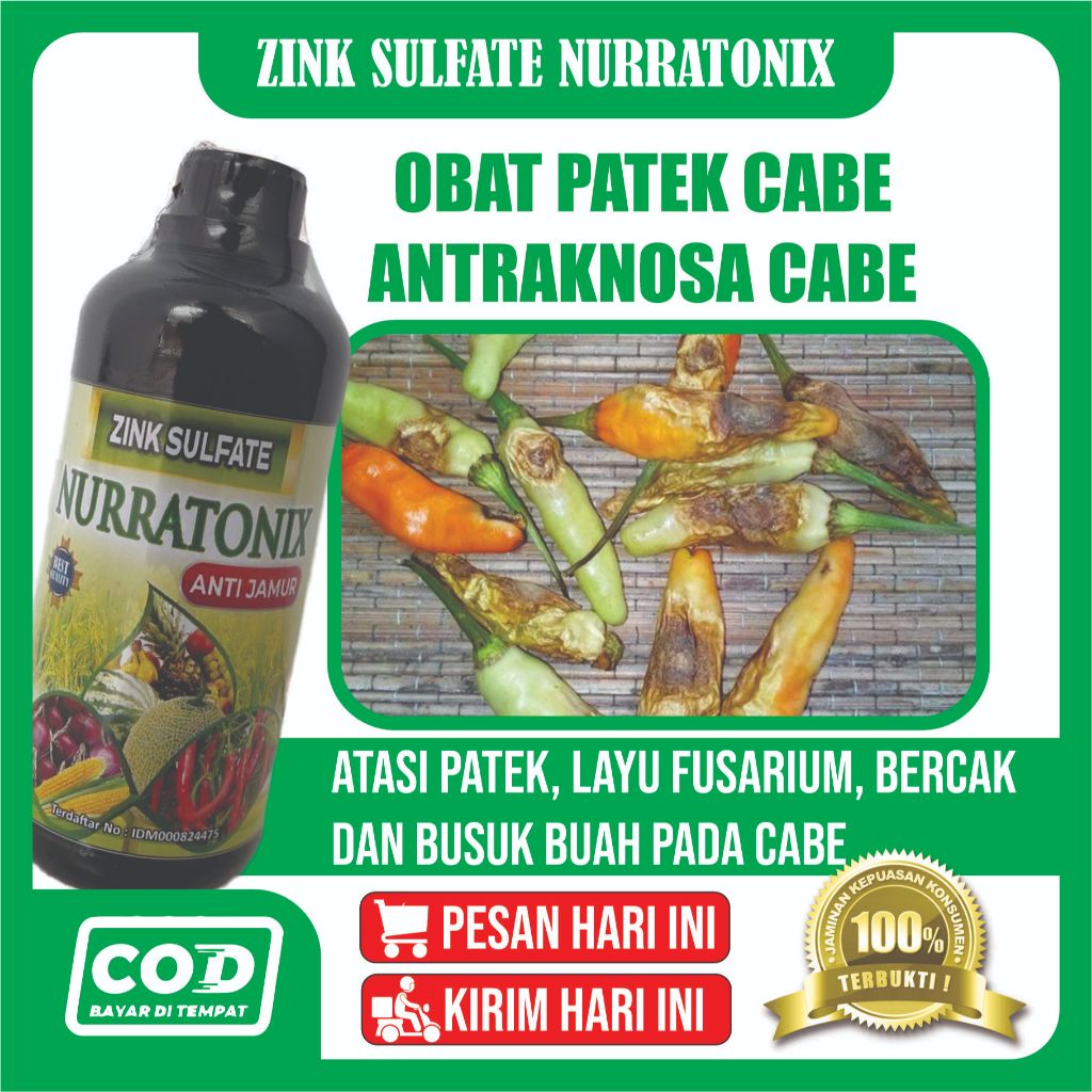 ZINK NURRATONIX Obat Semprot Kresek Daun Cabe, Obat Hama Kresek Daun Cabe dan Embun Bulu Daun Cabe, 