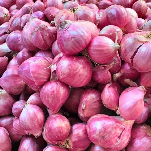 

Bawang merah murahh/super B/ 1kg/pilihan ukuran besar sedang kwalitas terbaik