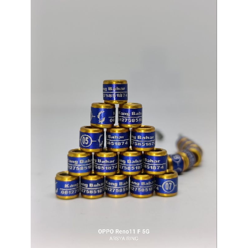 RING BURUNG MURAI TERBARU