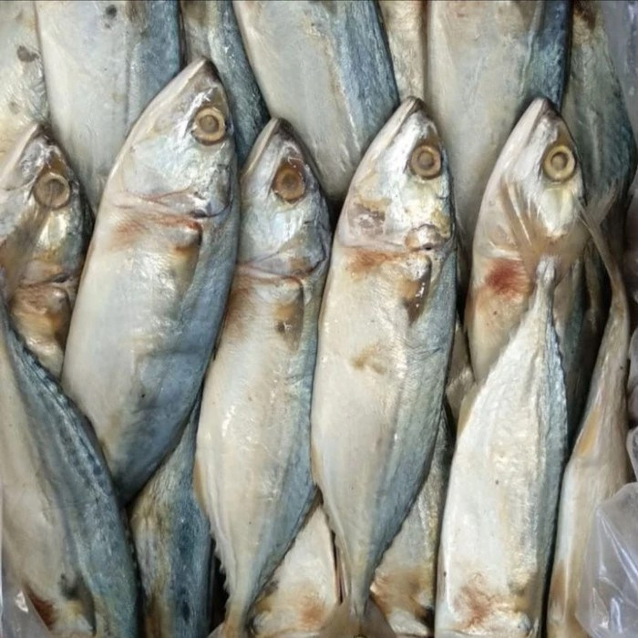 

Ikan Asin Peda Oleh oleh pangandaran - 500 gram