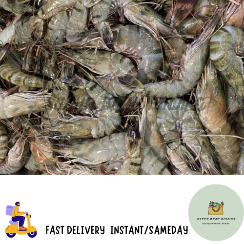

Instant Udang / Udang Segar / Udang Jumbo