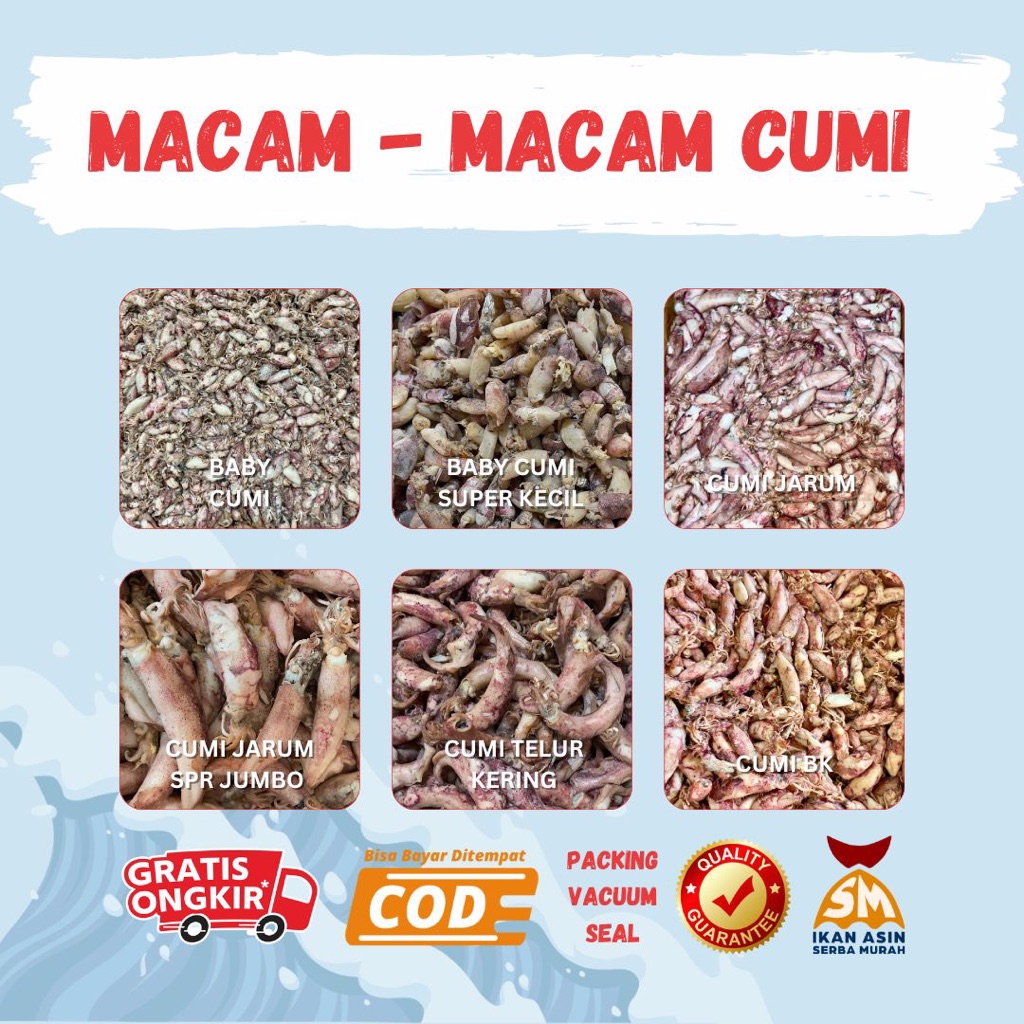 

Cumi Jarum | Baby Cumi | Cumi Telur | Cumi Panjang | Cumi Kering