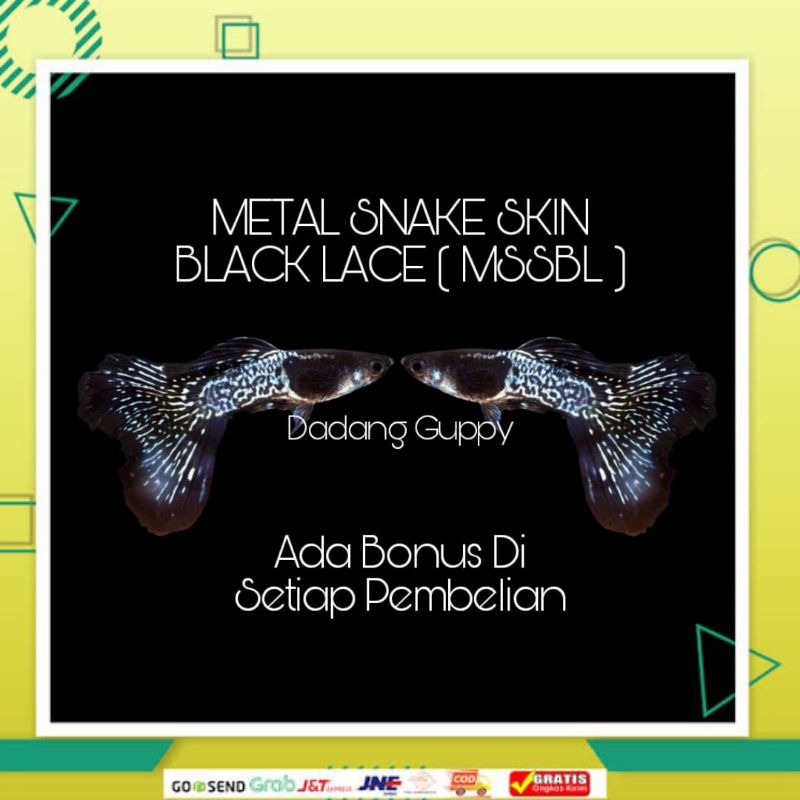 

Packing Styrofoam ( Metal Snake Skin Black Lace )