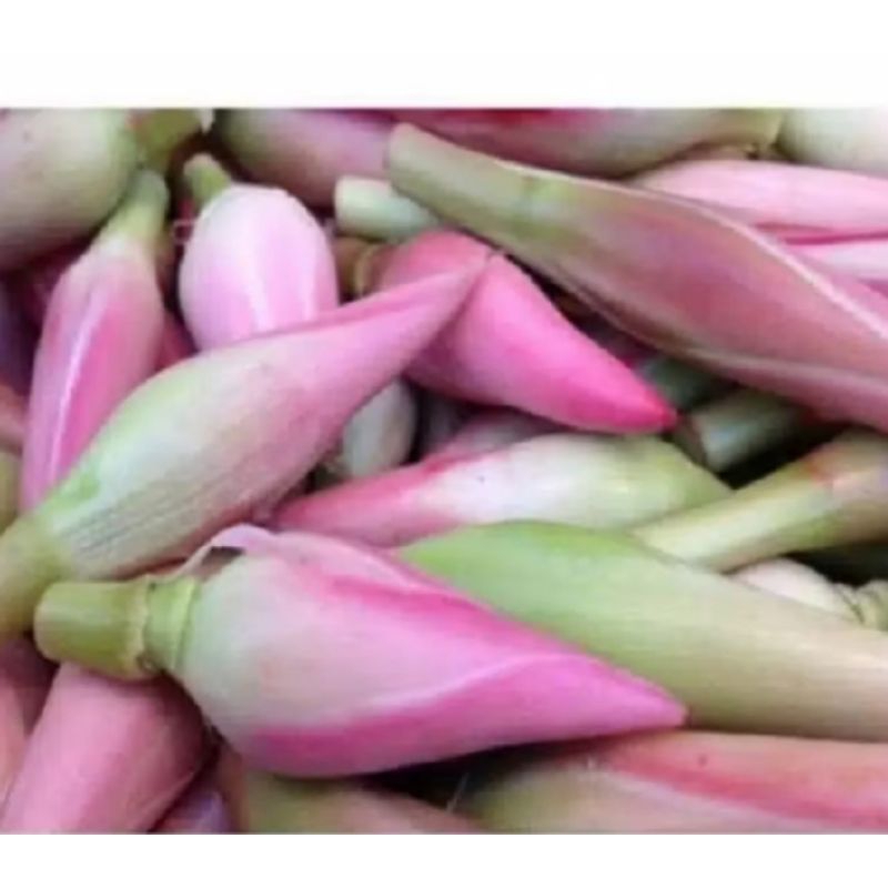 

bunga kecombrang 300 grm