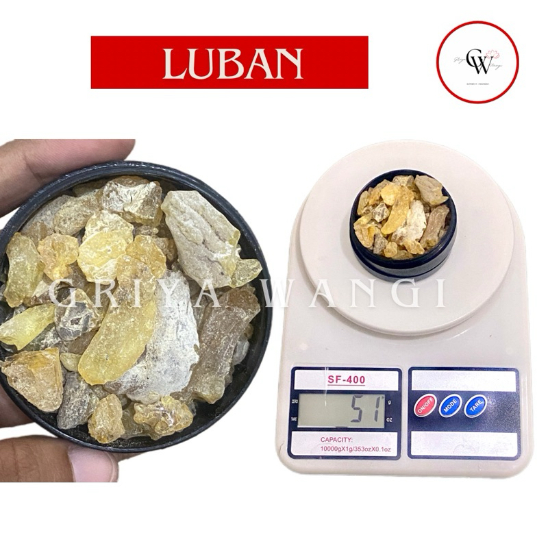 Luban Menyan arab kemenyan arab 50 gram