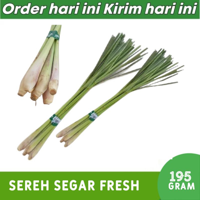

Sere Sereh Segar Per 1 Ikat JUMBO Denpasar Bali