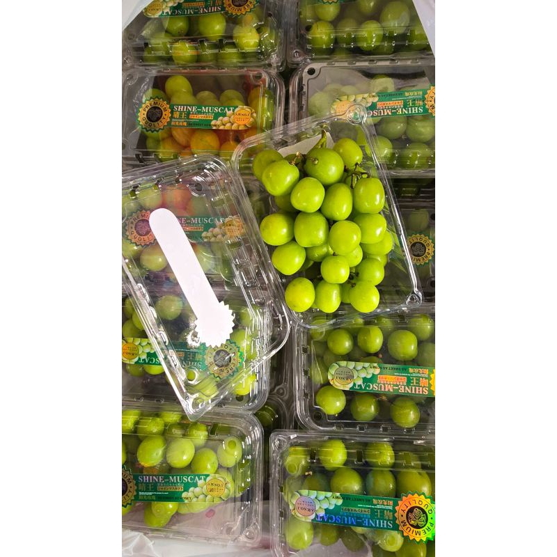 

Anggur Muscat