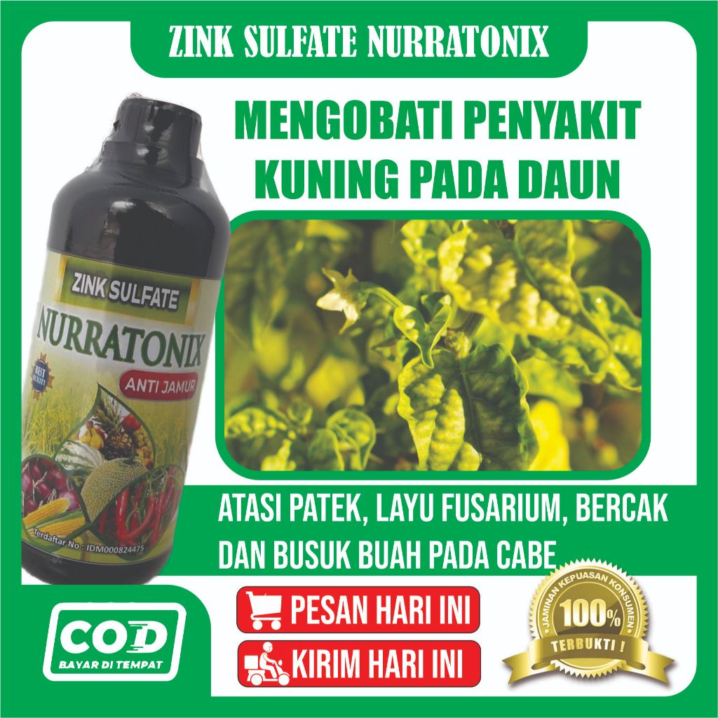 Obat Virus Kuning dan Virus Keriting Pada Daun Cabe, Tomat dll, - Pupuk Semprot Alami Atasi Hama Vir