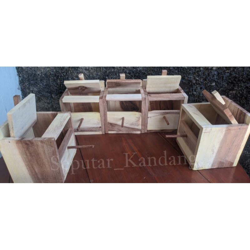 GLODOK BURUNG EMPRIT/FINCH/BURUNG KECIL