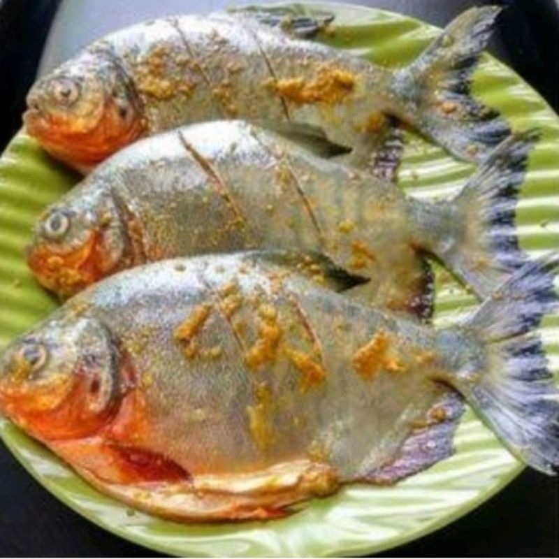 

likan bawal siap goreng