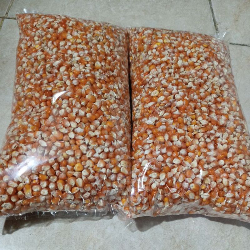 Jagung kecil pakan merpati/ jagung Madura / jagung makanan merpati 1kg