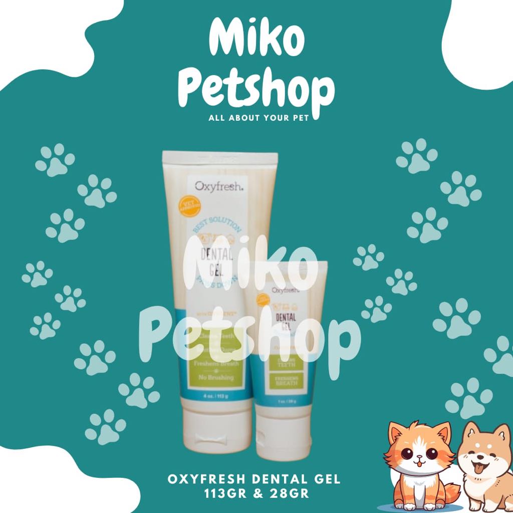 OXYFRESH DENTAL GEL