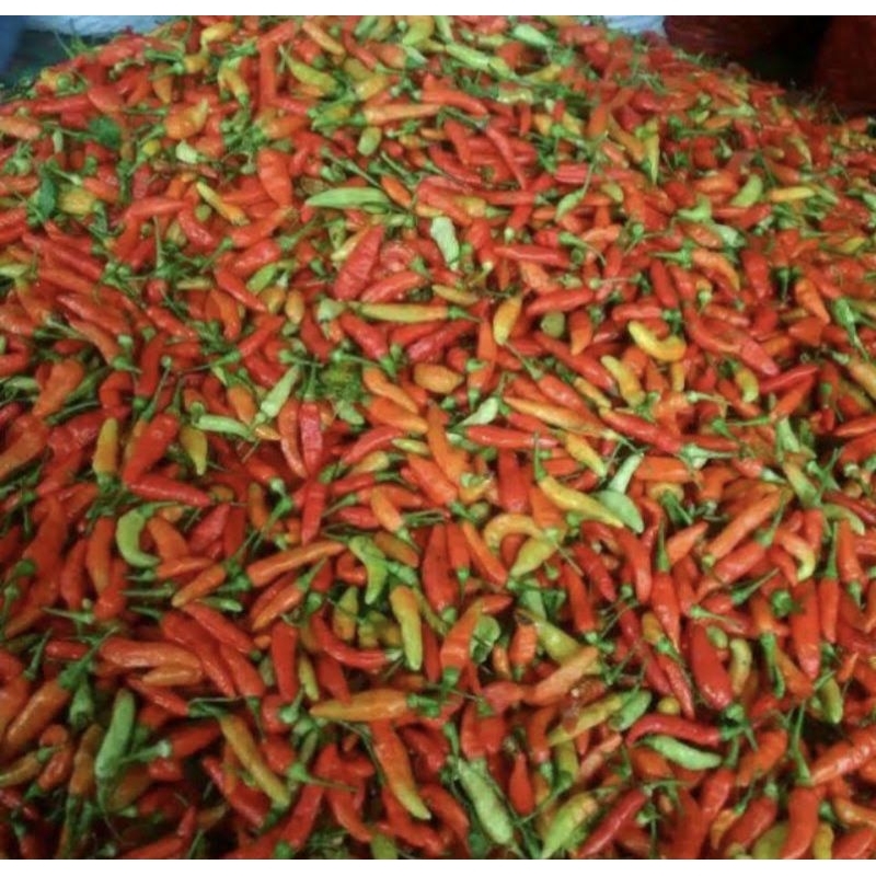 

cabe rawit merah/cabe setan
