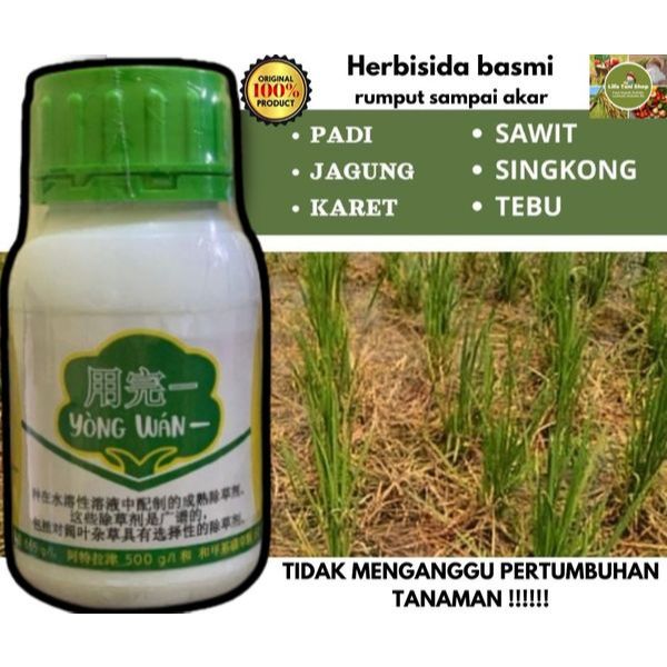 YONGWAN Yong wan Herbisida Sistemik Selektif Paling Ampuh Aman Untuk Tanaman Padi, Jagung, Karet, Sa