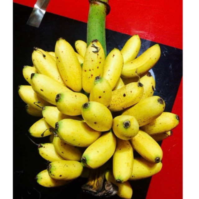 

BUAH PISANG EMAS MANIS FRESH 1/2 TANDAN / PISANG EMAS KUNING 1,5KG-2KG/PISANG MAS MURAH