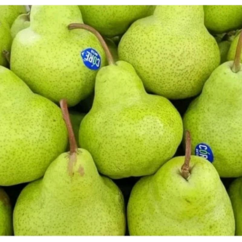 

INSTAN PEAR Hijau PACKHAM segar 1 kg