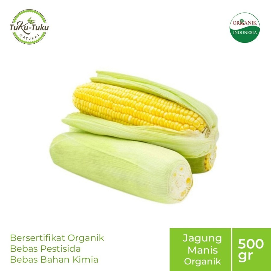 

JAGUNG MANIS ORGANIK BSP FARM 300-500GR