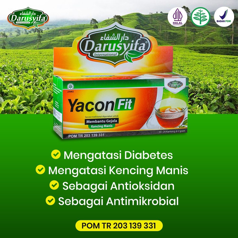 

Teh Celup Daun Insulin Yaconfit Darusyifa Obat Diabetes Kencing Manis Penurun Gula Darah Hati Ginjal Kandung Kemih isi 20 sachet